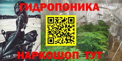 Альфа ПВП Донской